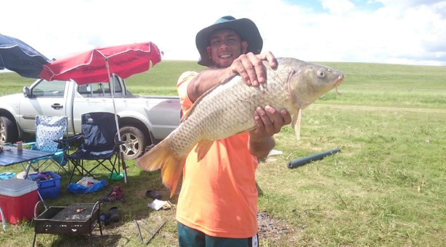 Sublime Catch-Beauty Carp caught at the Vaal